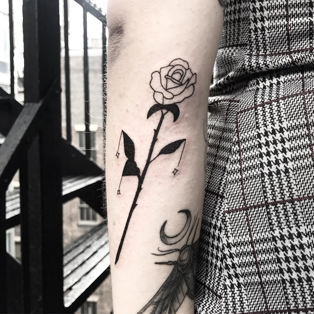 Flower, Rose