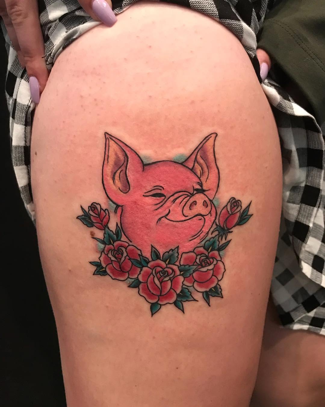 Animal
