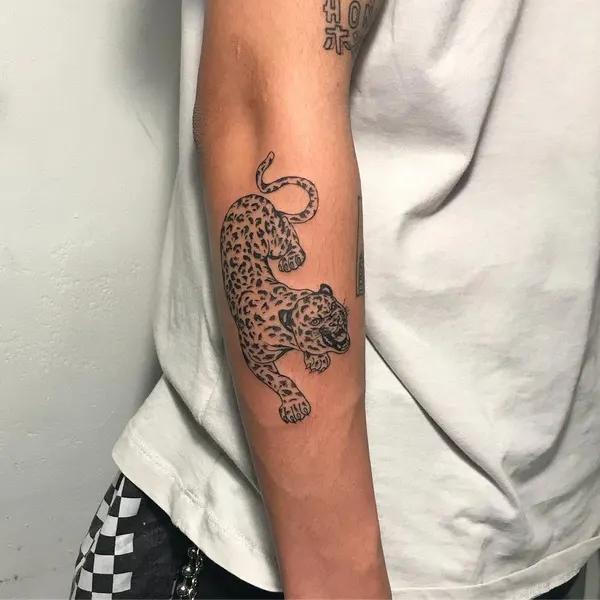 Tiger, Animal