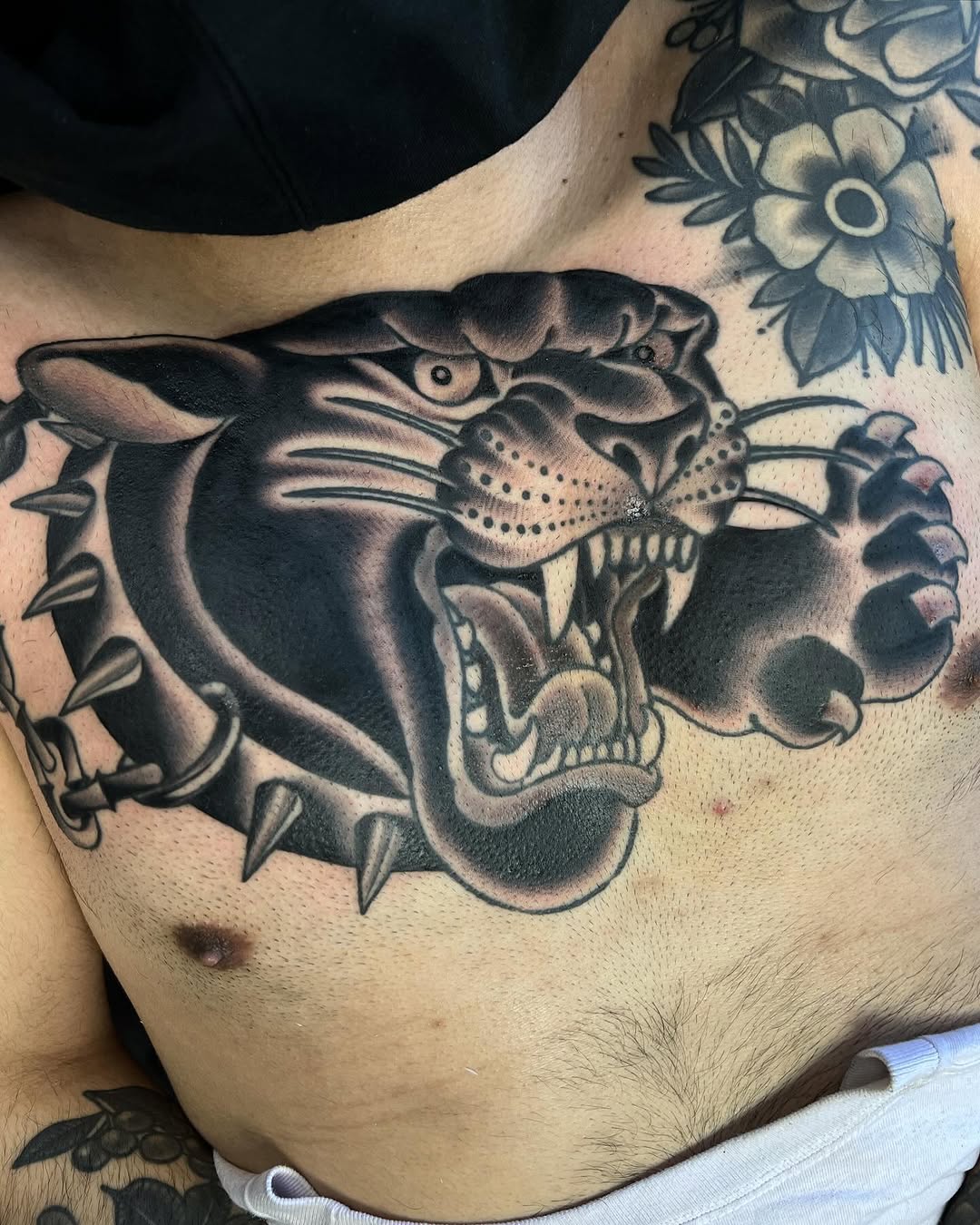 Tiger, Animal