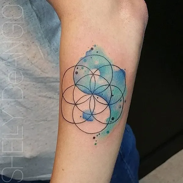 equilattera