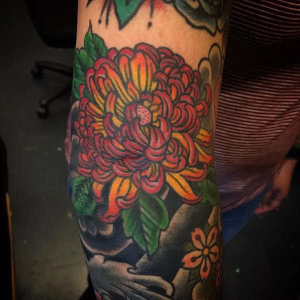 Flower, Rose