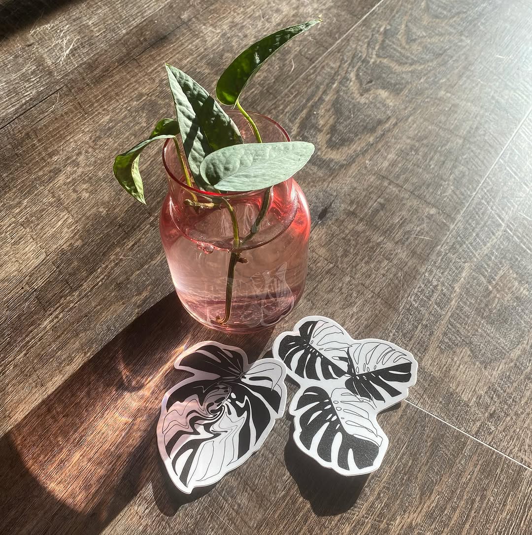 plantsnpokes