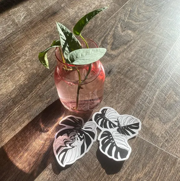plantsnpokes