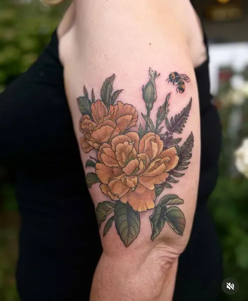 Flower, Rose, Nature