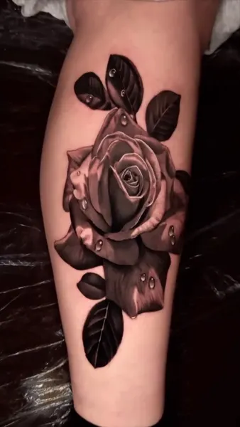 Flower, Rose