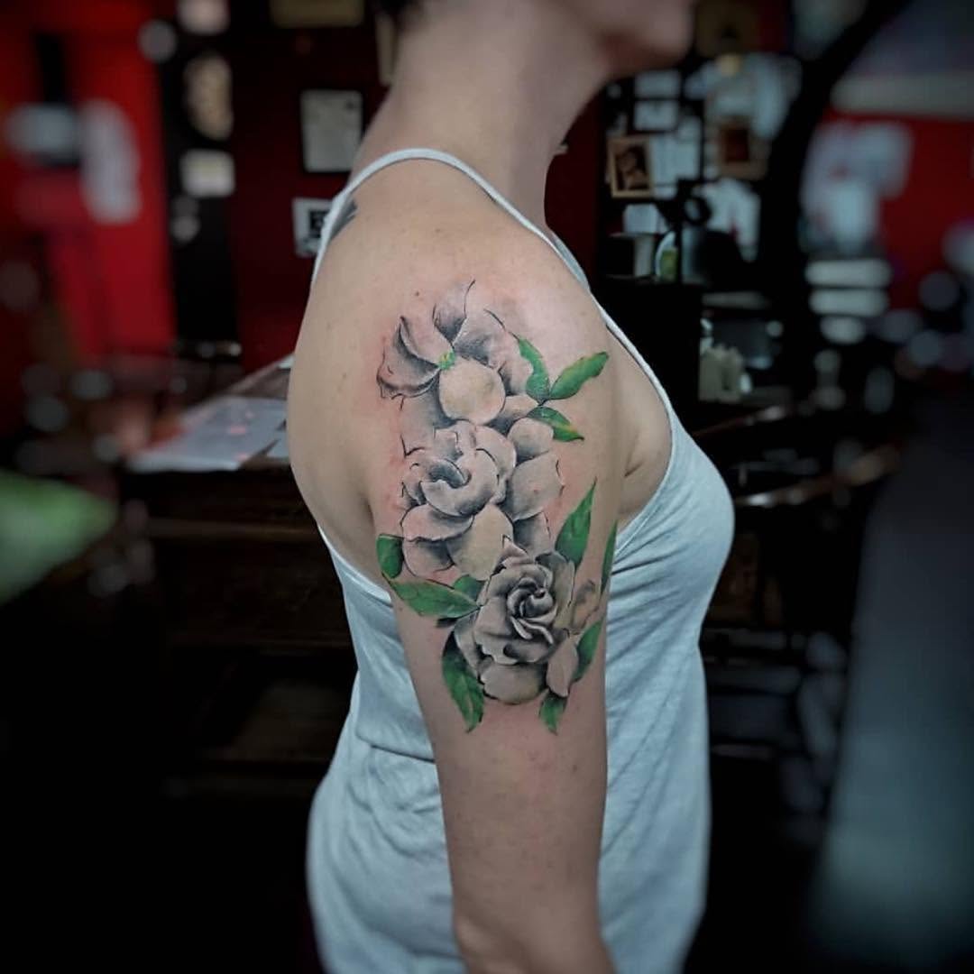 Flower, Rose, Nature