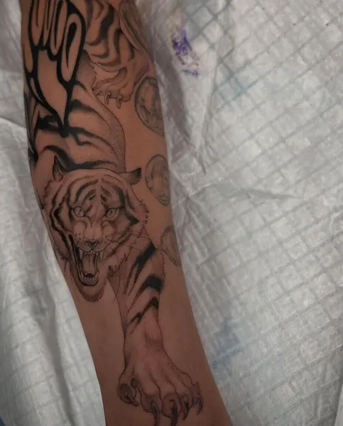 Tiger