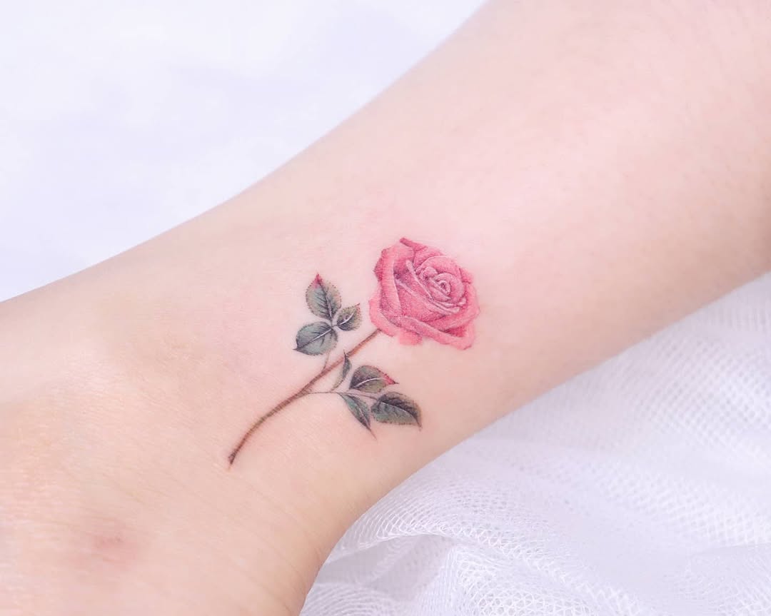 Flower, Rose