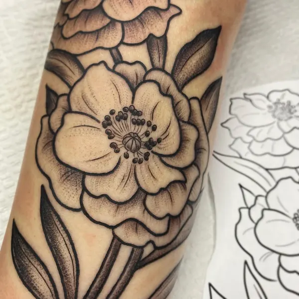 Flower, Rose