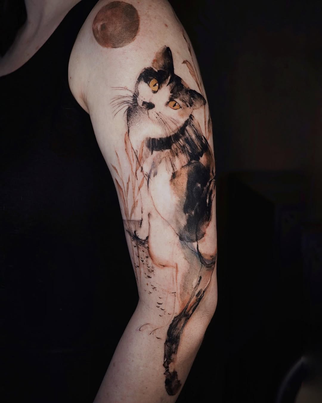 Animal