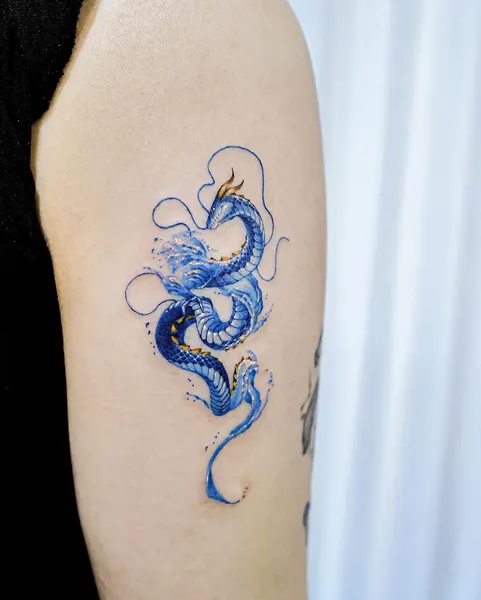 Dragon, 문어, 해파리, 전갈자리