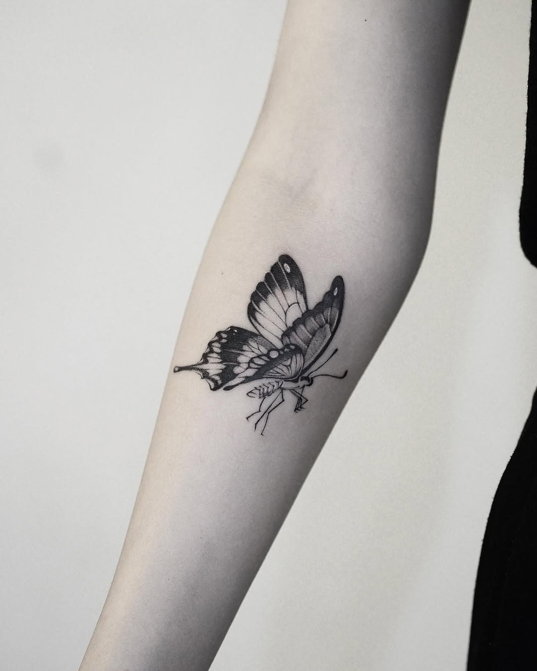 Animal, Nature