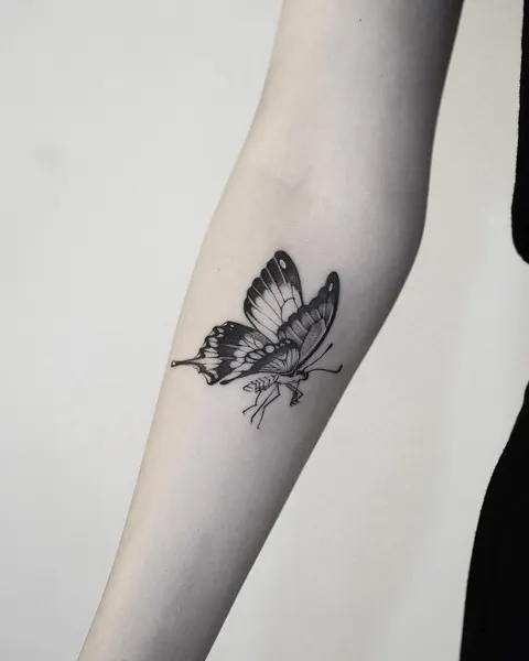 Animal, Nature