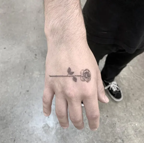 Flower, Rose