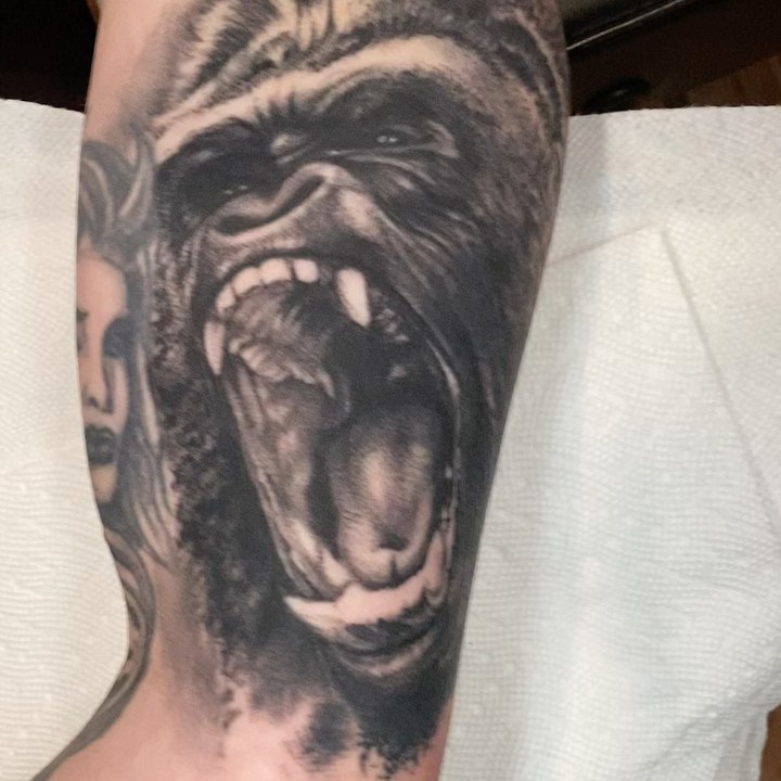 Tiger, Animal