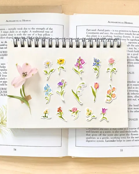 Flower