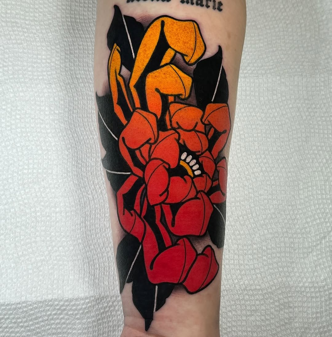 Flower, Rose