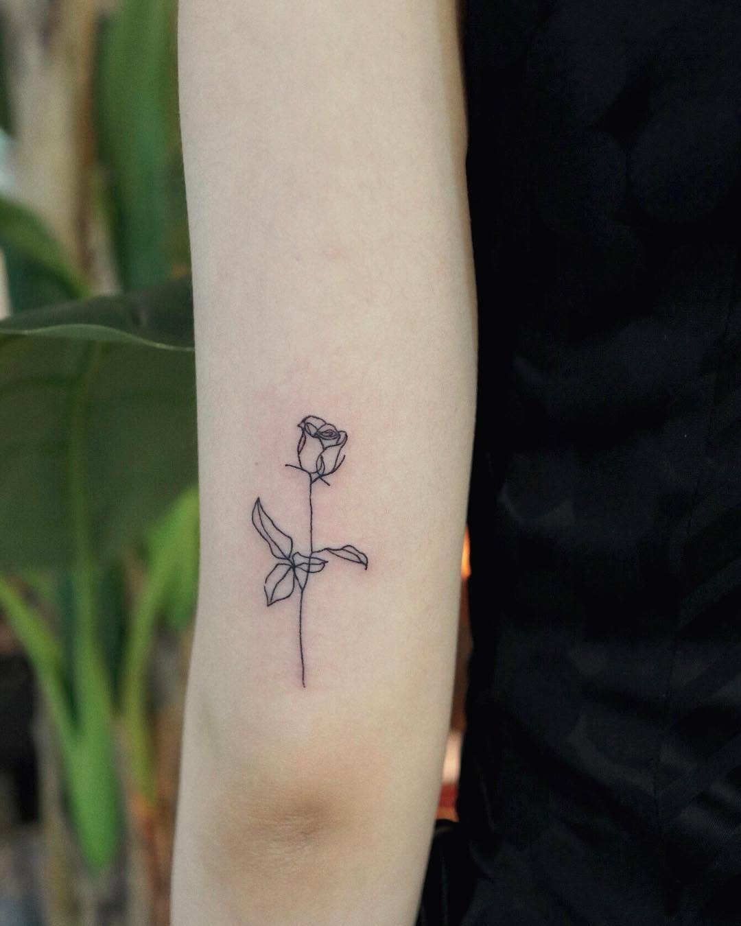 Flower, Rose