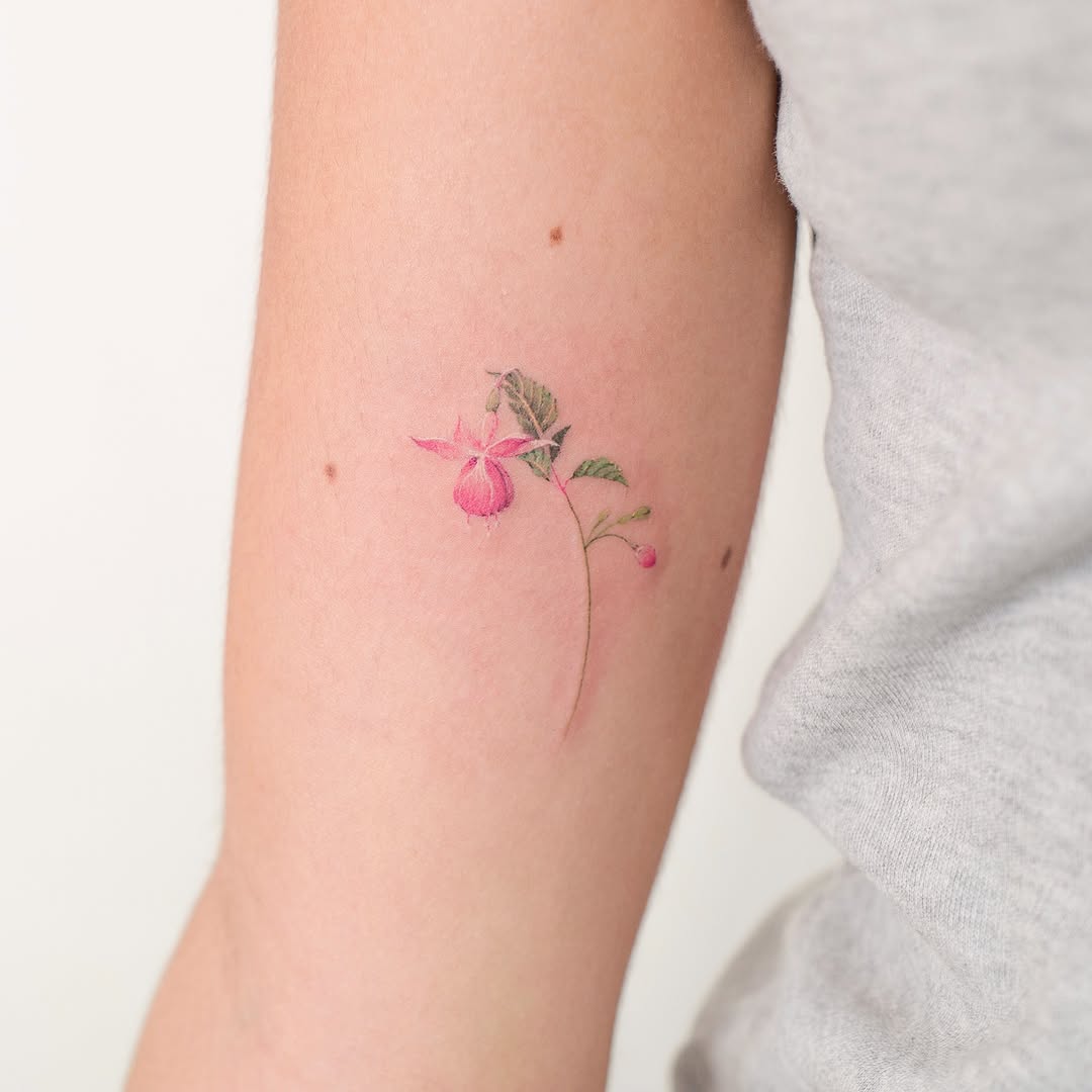 Flower, Rose