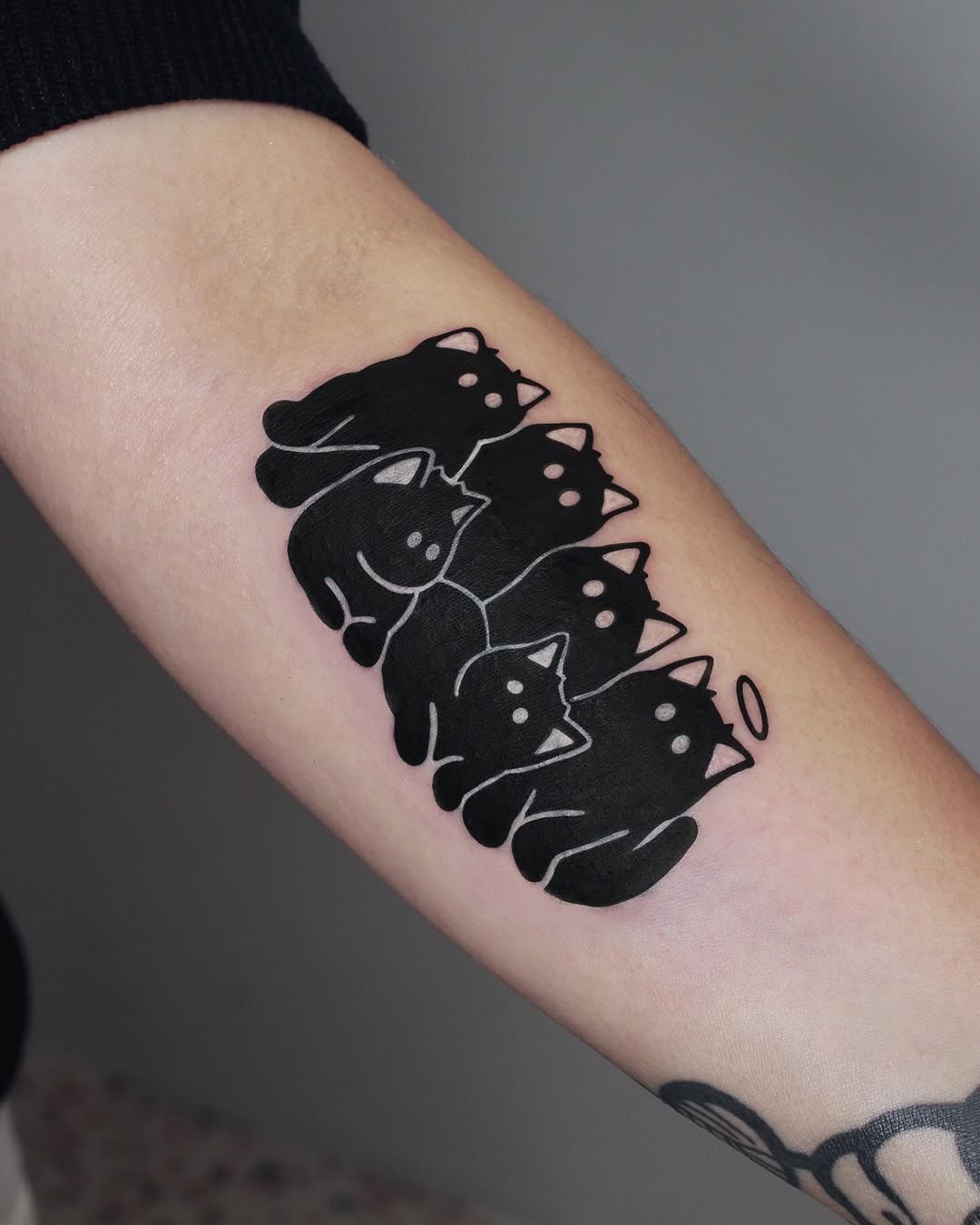 gnar.ttt