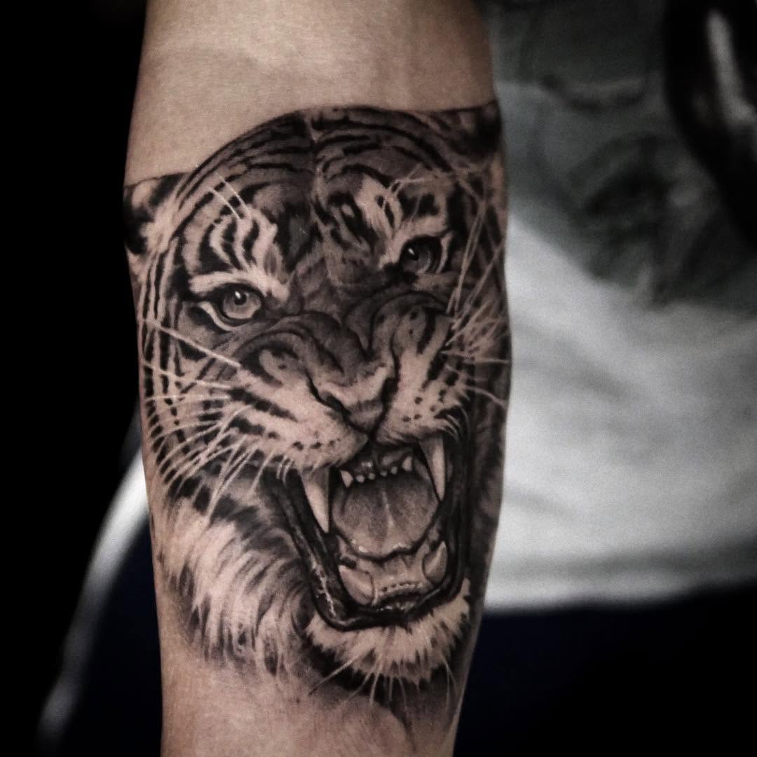 Tiger, 한국 호랑이, 중국 호랑이