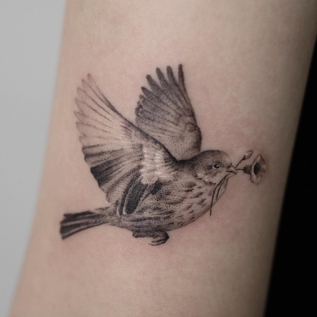 40.tatt