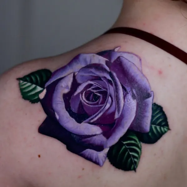 Rose, Nature, Flower