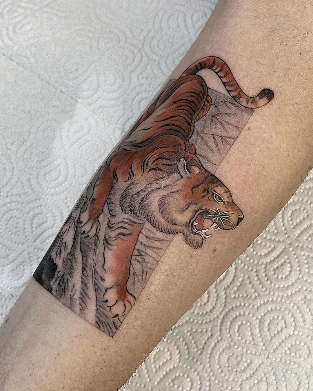 Tiger