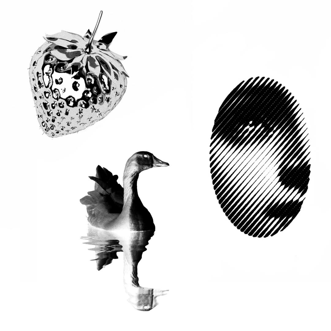 plantsnpokes