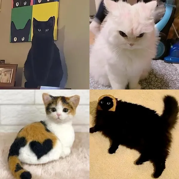 Animal