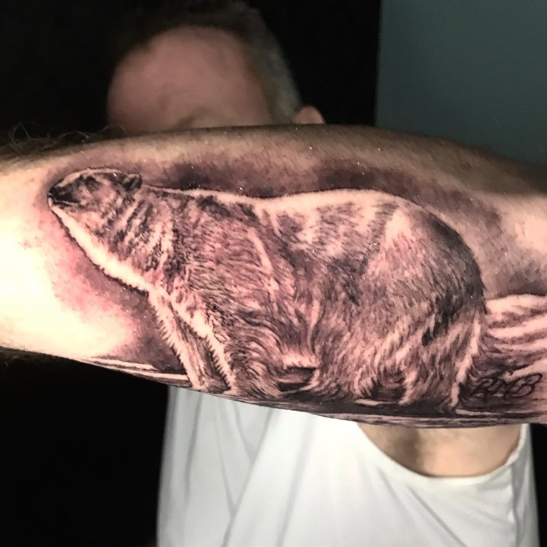 Animal