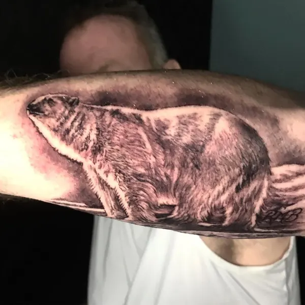Animal