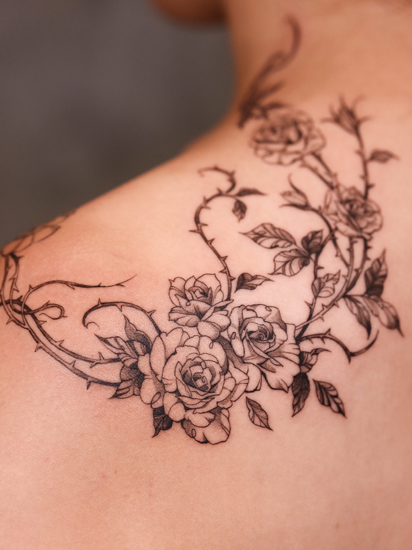 Flower, Rose