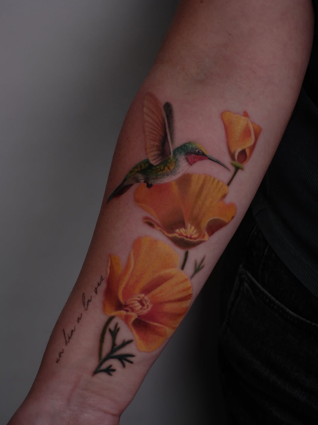 Flower, Dragon, Nature, Rose
