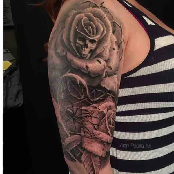 Flower, Rose