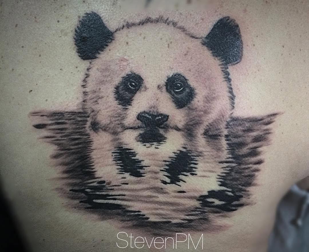 Steven PM