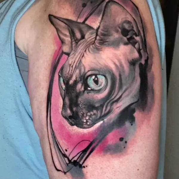 Animal