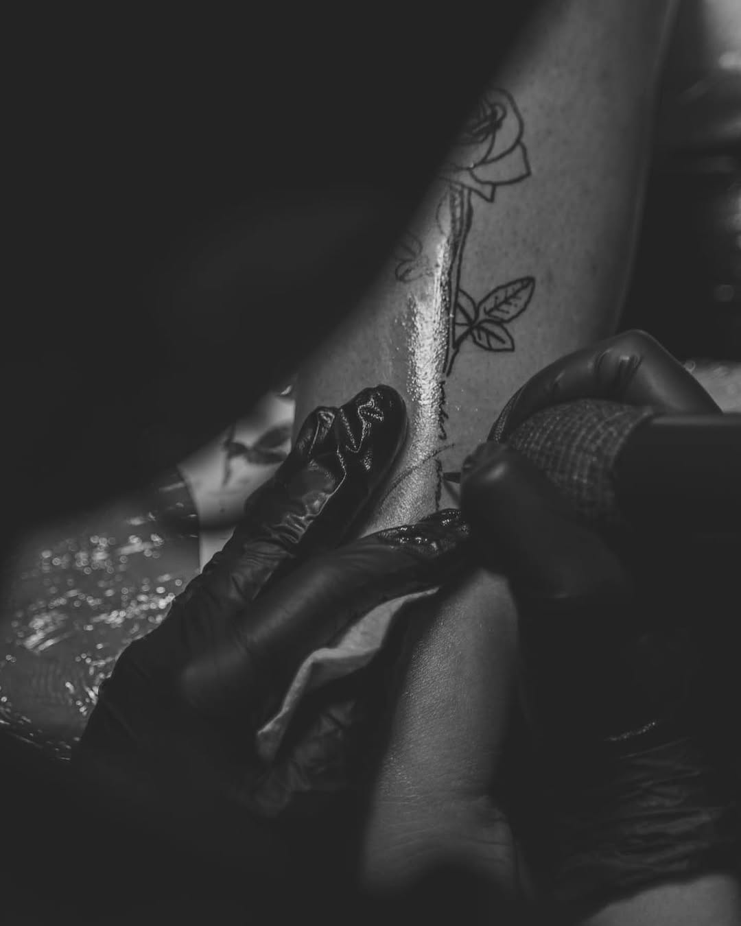 olivia.tats