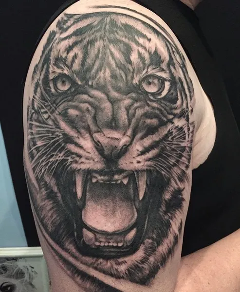 Tiger