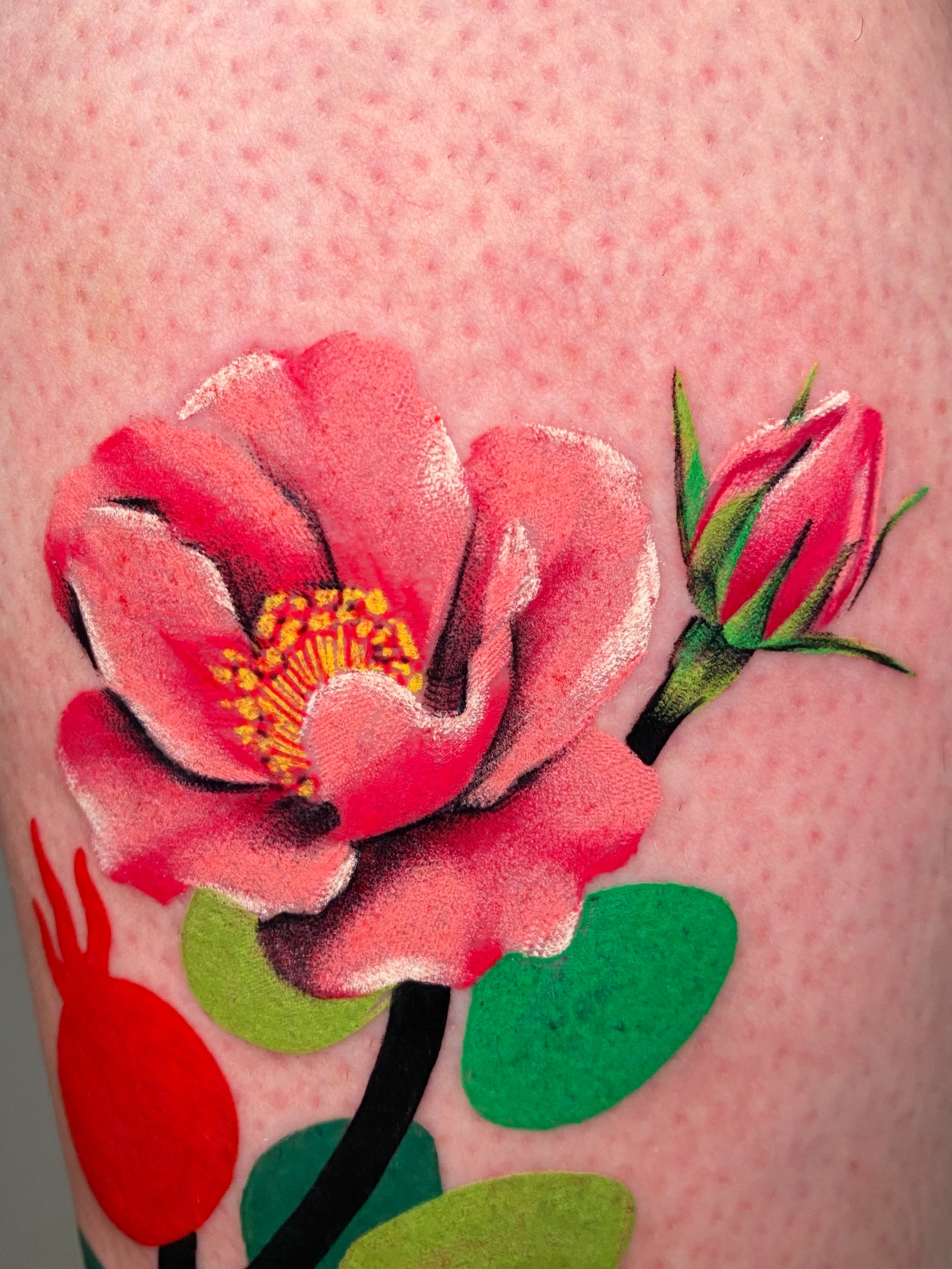 Flower, Rose