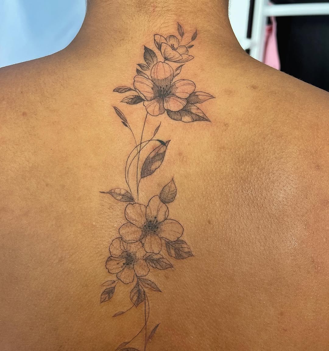 Flower, Nature, Rose