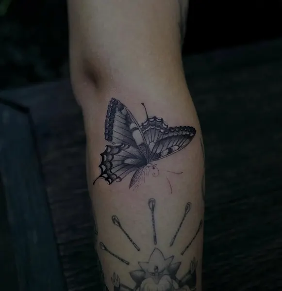 Animal, Nature