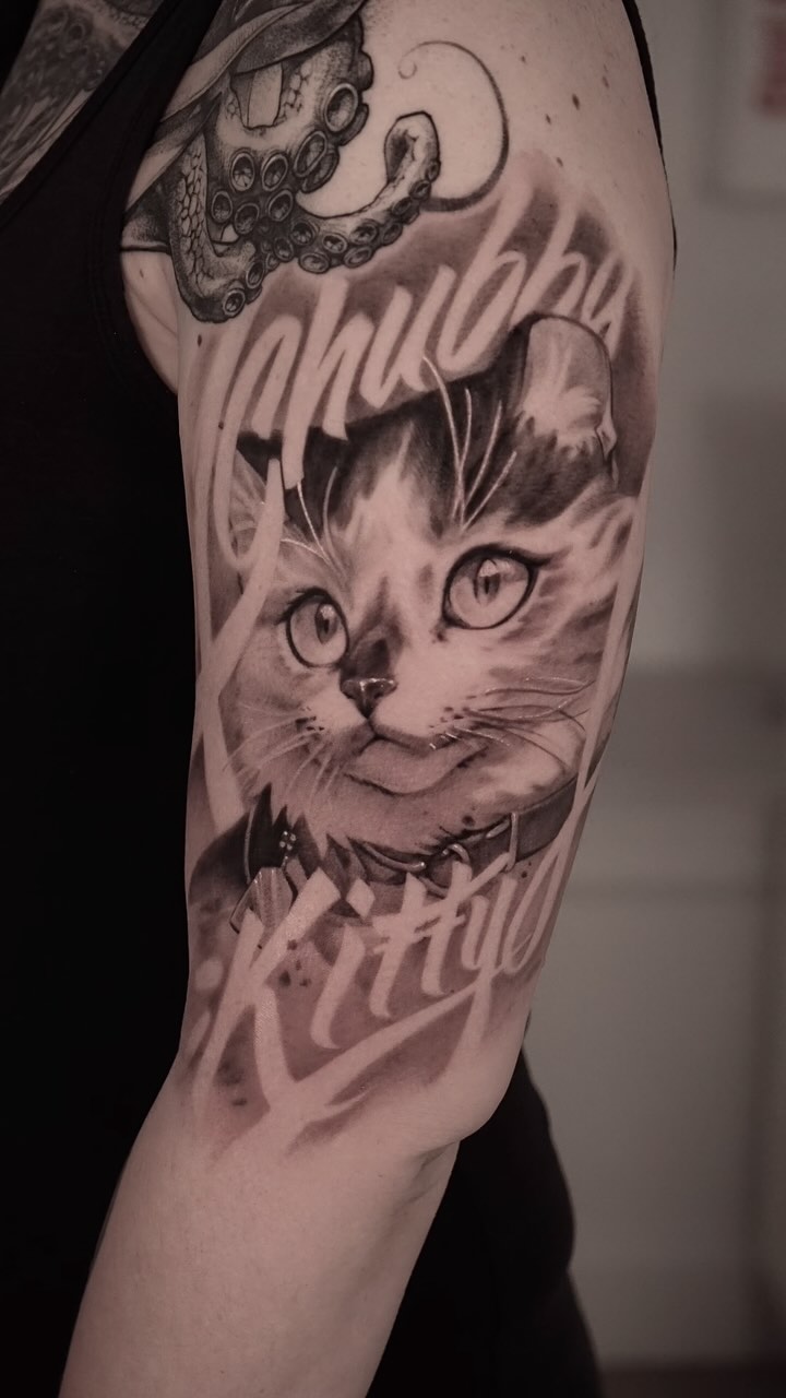 Animal