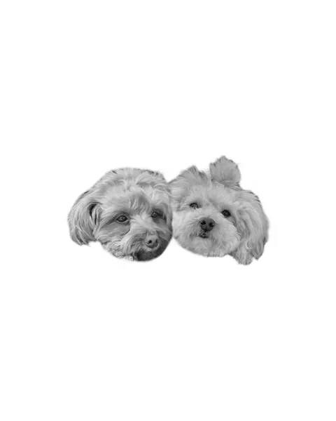 dorok.tattoo