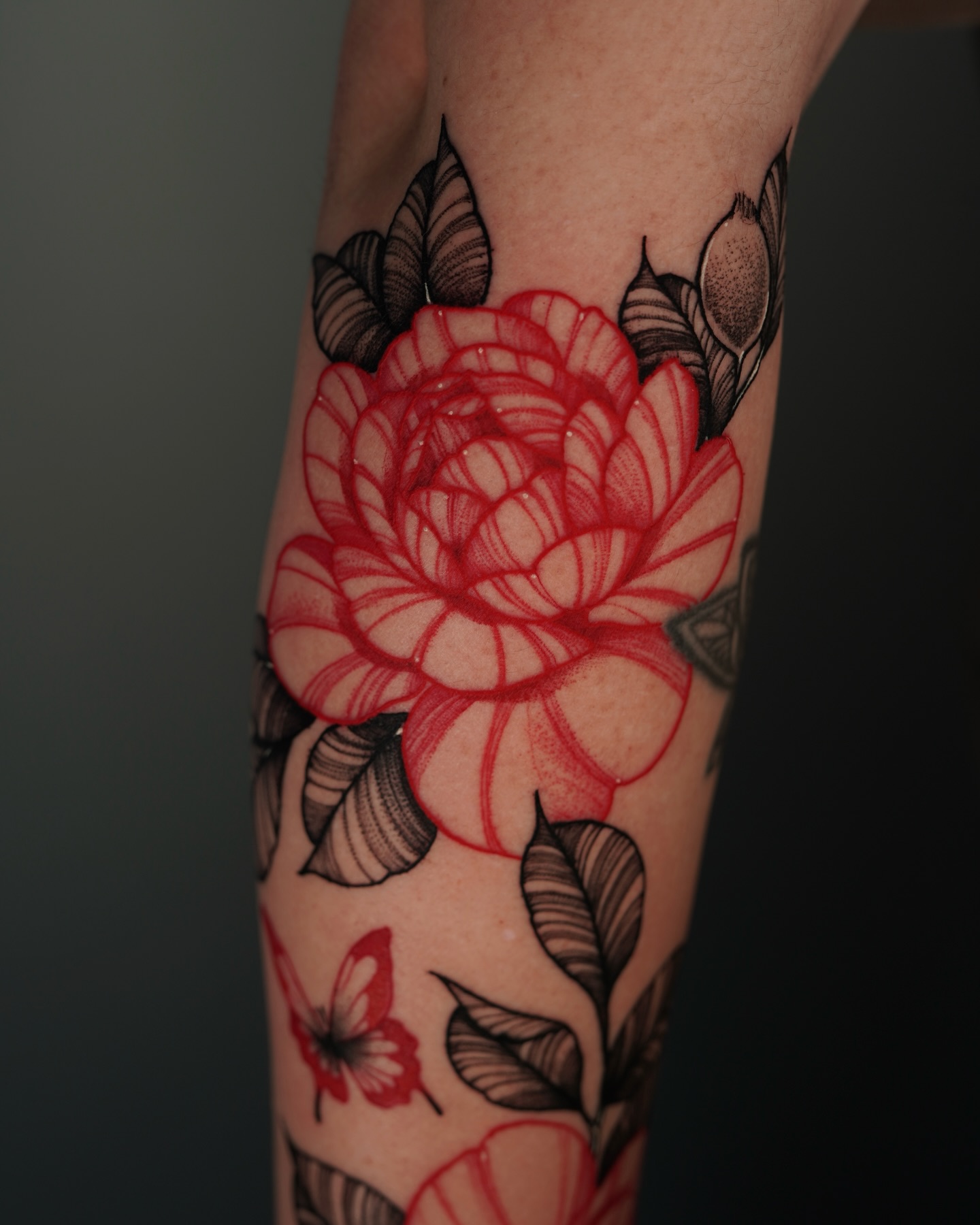 Animal, Nature, Flower