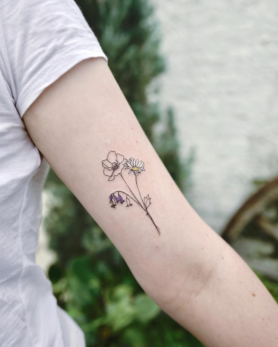 Rose, Flower