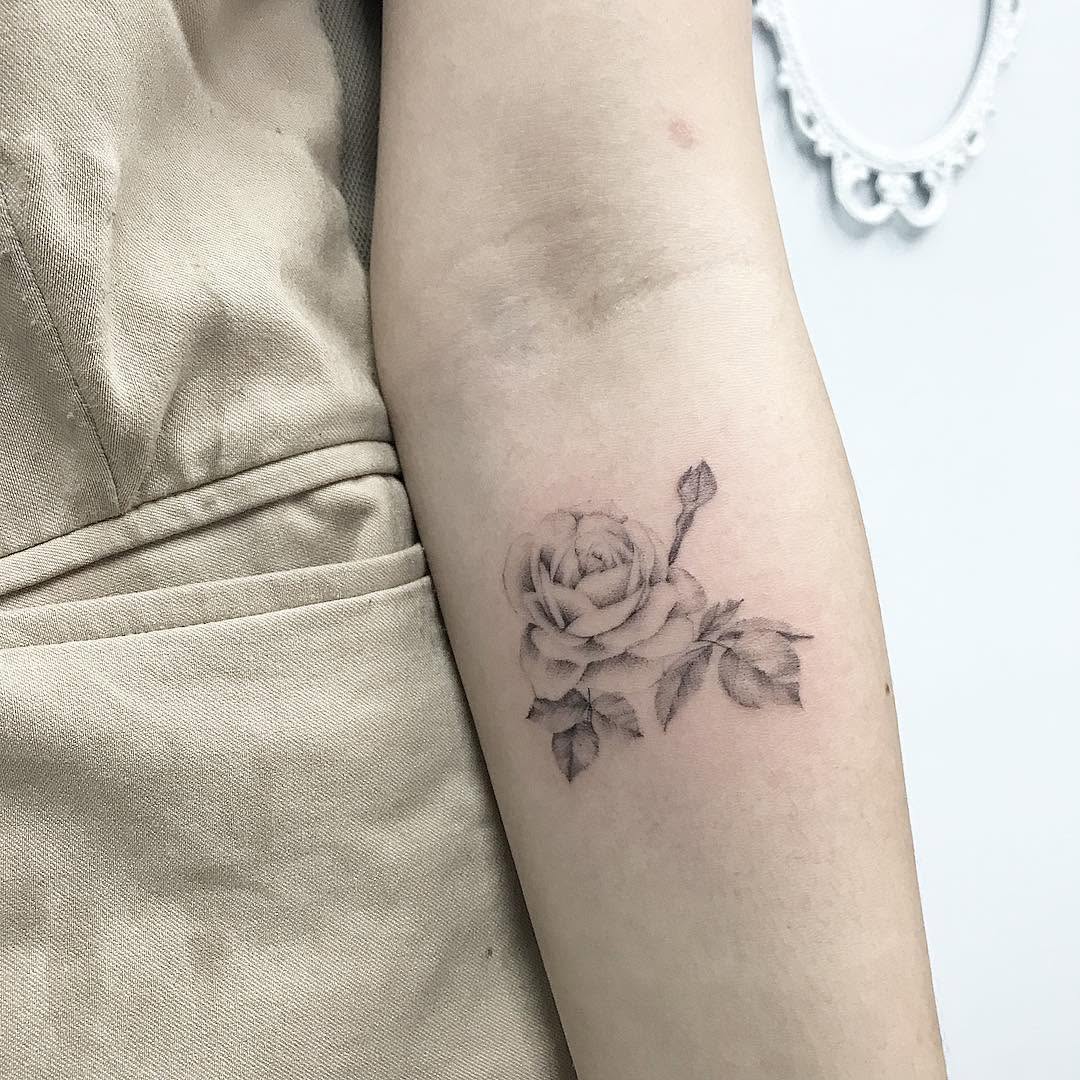 Flower, Rose
