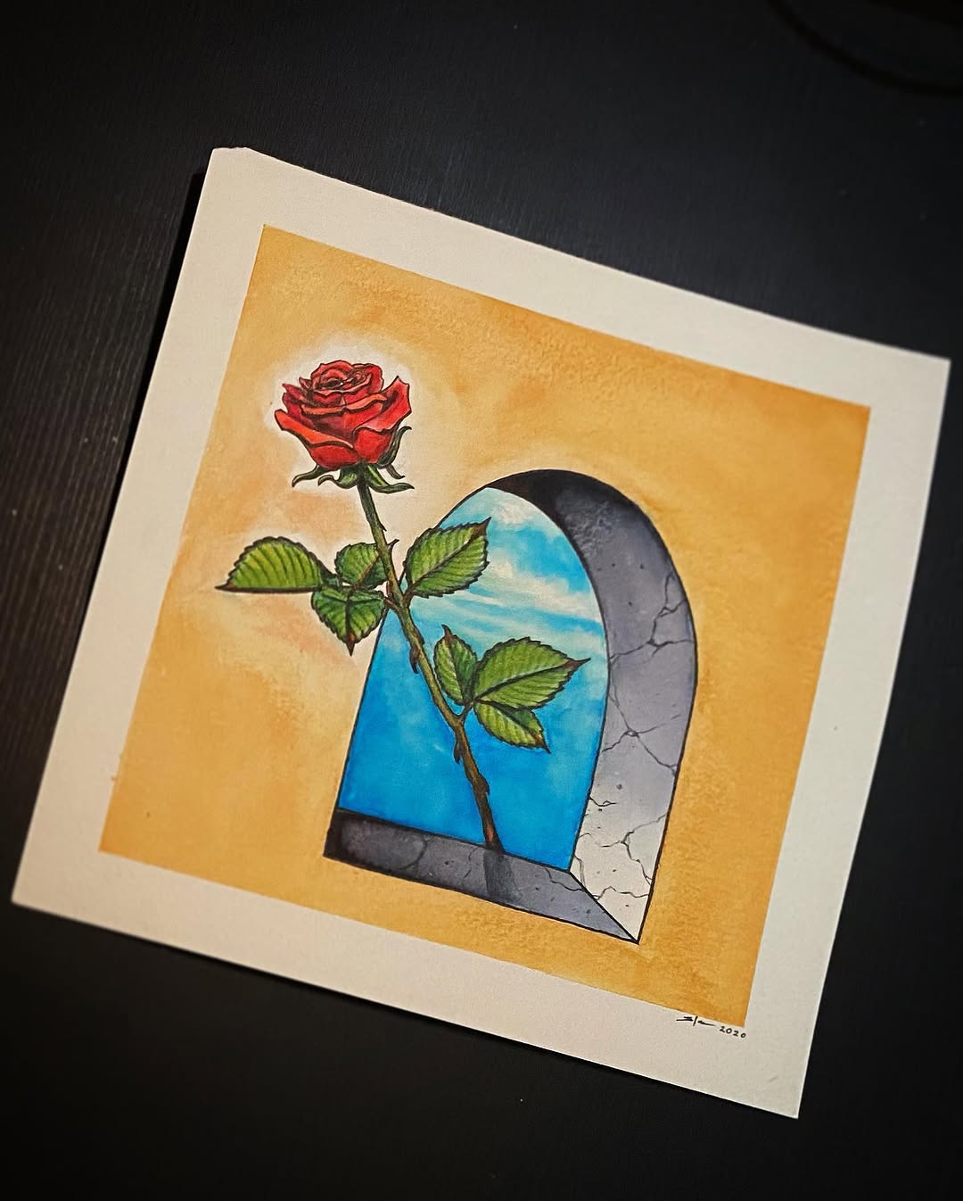 Flower, Rose