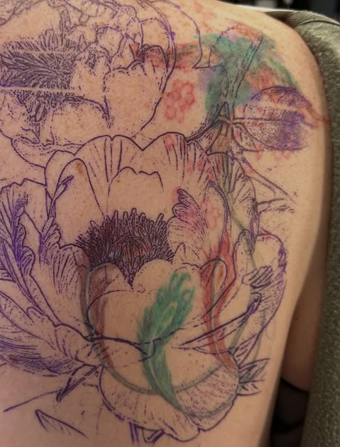 Flower, Rose, Nature